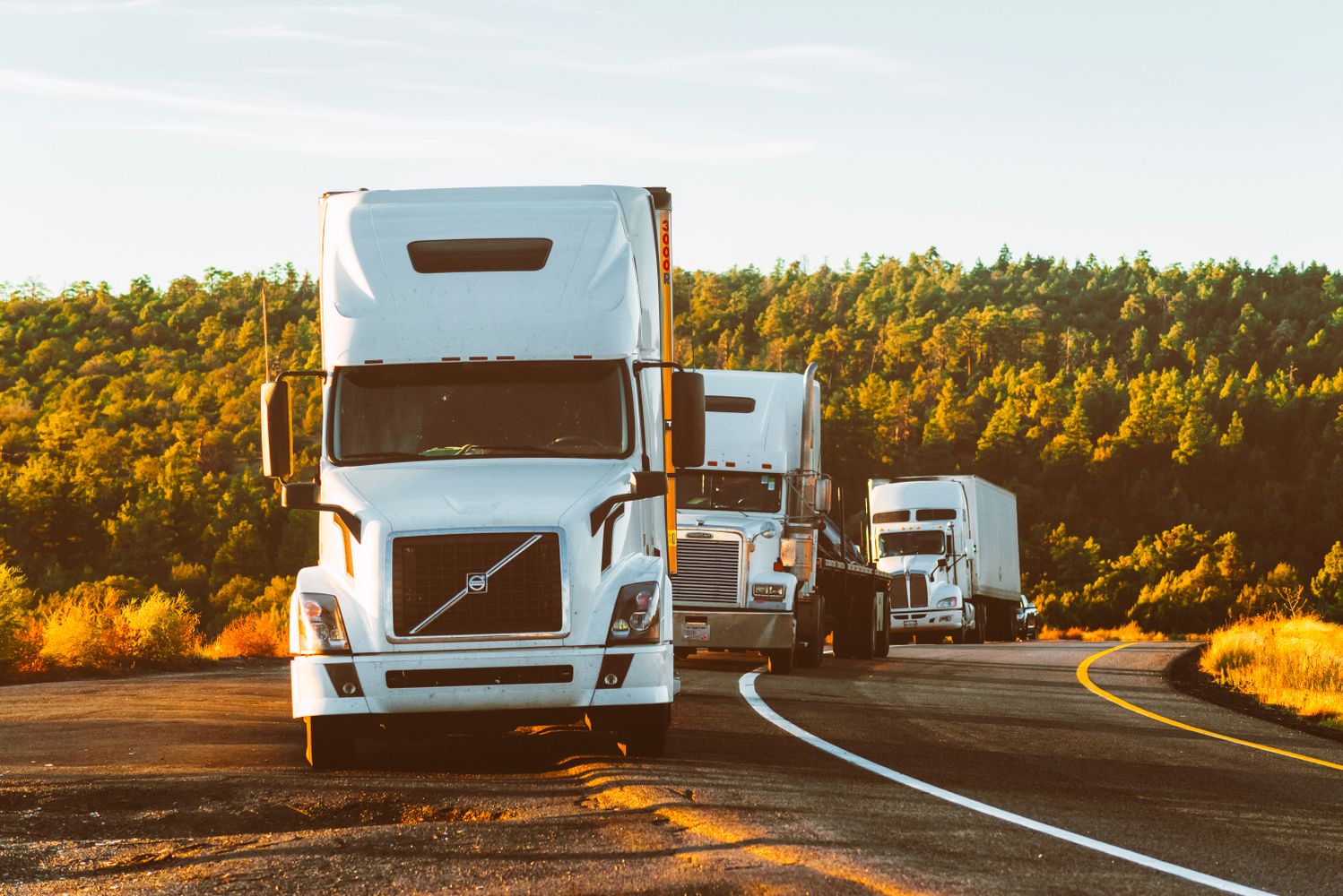 Express Route Track Logistics Global Fleet